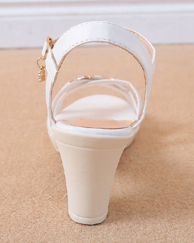 Fairy Style Peep Toe Sandals Women's Buckle Chunky Heel Shoes