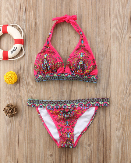 European And American Foreign Single Sexy Bikini Ethnic Style Print Halter Retro Classic Triangle Bikini Swimsuit Women