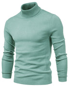 Mugwort green / S