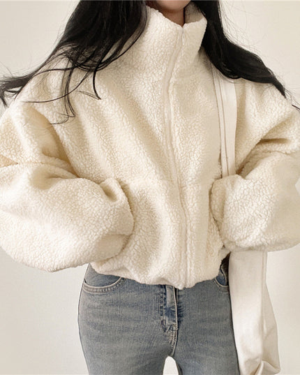 Stand-up Collar Thermal Faux Lamb Fur Coat Women's Autumn And Winter New Loose Temperament Zip Cardigan Tops