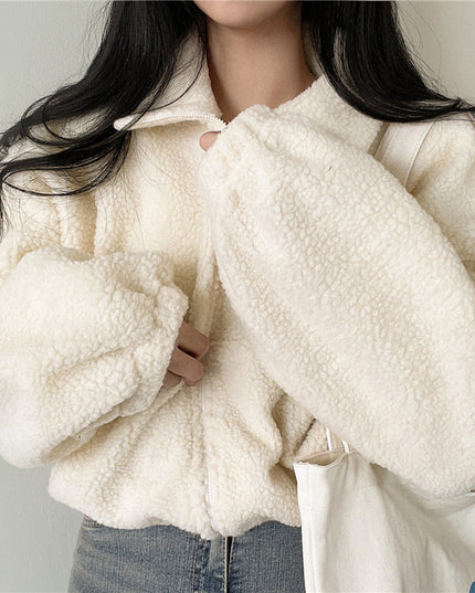 Stand-up Collar Thermal Faux Lamb Fur Coat Women's Autumn And Winter New Loose Temperament Zip Cardigan Tops