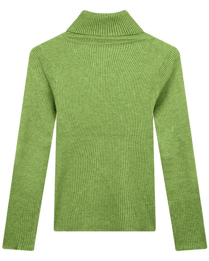 Thickening Inner Wear Skinny Versatile Long Sleeve Thermal Turtleneck Sweater For Women