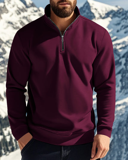 Men's Sweater Zipped Stand Collar Fleece-lined