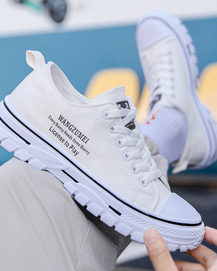 Summer New Lightweight Breathable Low Top Board Shoes Fashion Canvas Shoes Korean Style Trendy Hong Kong Style Casual Men's Shoes