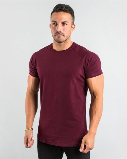 Men's Sports Solid Color Fitness Slim Long Sleeve And Short Sleeve T-shirt