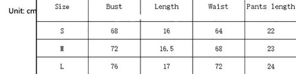 Women's Lace Fashion Underwear Suit