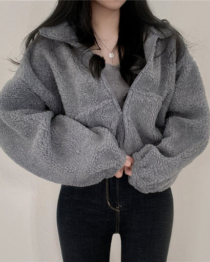Stand-up Collar Thermal Faux Lamb Fur Coat Women's Autumn And Winter New Loose Temperament Zip Cardigan Tops