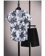 Black Coconut Tree