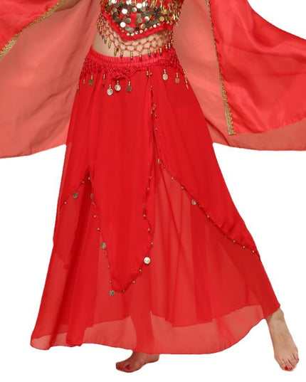 Belly Dance Hanging Coin Skirt Chiffon Big Hem Dress