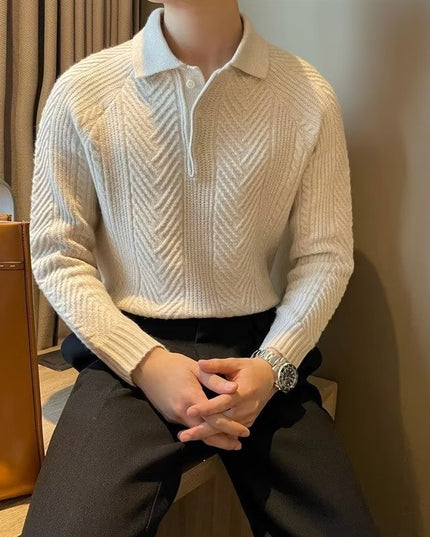 Winter Thermal Base Pullover Men's Sweater Casual Polo Collar Polo Shirt