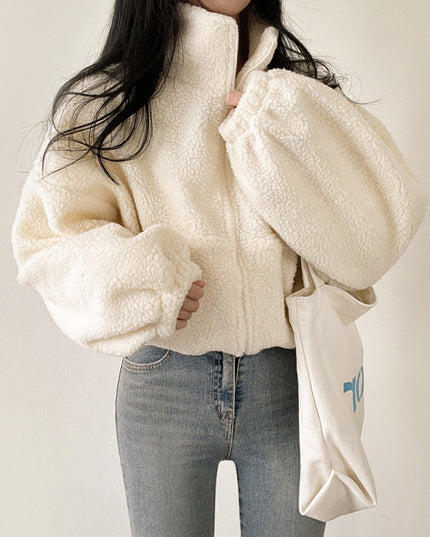 Stand-up Collar Thermal Faux Lamb Fur Coat Women's Autumn And Winter New Loose Temperament Zip Cardigan Tops