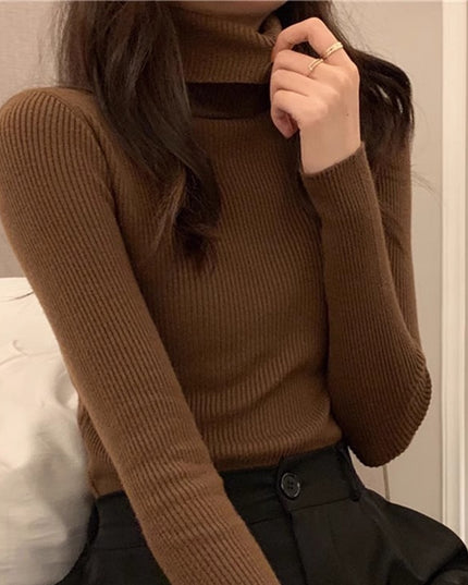 Thickening Inner Wear Skinny Versatile Long Sleeve Thermal Turtleneck Sweater For Women