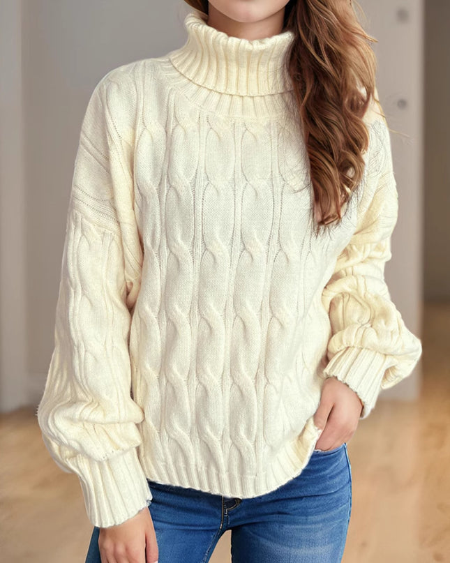 Turtleneck Solid Color Commute Loose Pullover