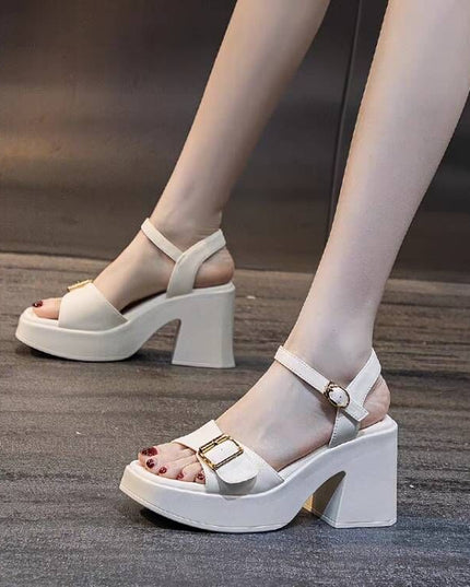 Chunky Heel Waterproof Platform Super High Heel Platform Sandals