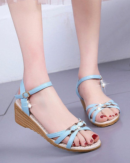 Fairy Style Peep Toe Sandals Women's Buckle Chunky Heel Shoes