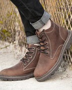 Brown Chestnut