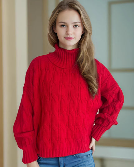 Turtleneck Solid Color Commute Loose Pullover