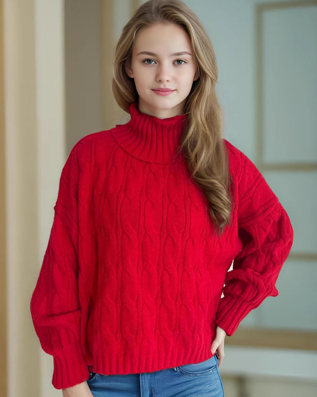 Turtleneck Solid Color Commute Loose Pullover
