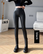 Sheep Black